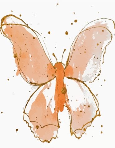 Peach Butterfly Insect Paint By Numbers