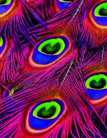 Colorful Peacock Essence Paint By Numbers