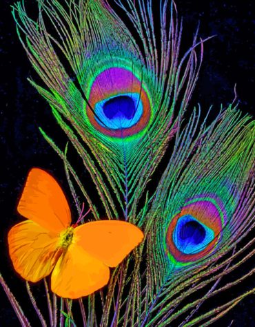 Peacock and Butterfly Paint By Numbers