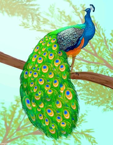 Blue Golden Peacock Paint By Numbers