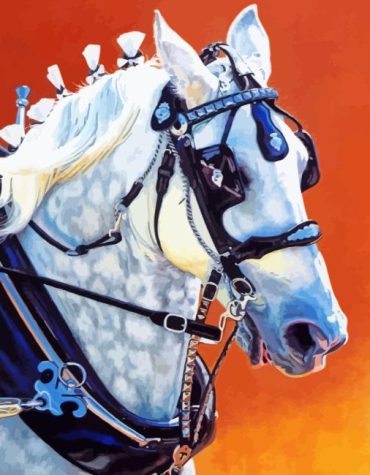 Majestic Percheron Horse Paint By Numbers