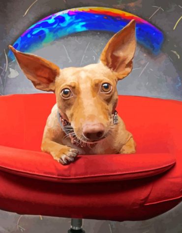 Pharaoh Hound Puppies Paint By Numbers