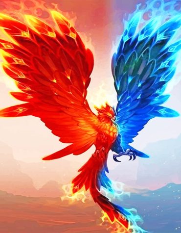 Colorful Phoenix Flying Bird Paint By Numbers