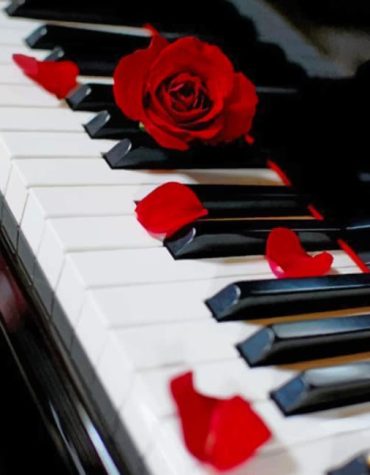 Piano and Red Roses Paint By Numbers