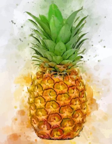 Aesthetic Pineapple Fruits Paint By Numbers