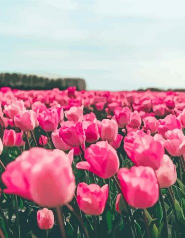 Pink Tulip Fields Paint By Numbers