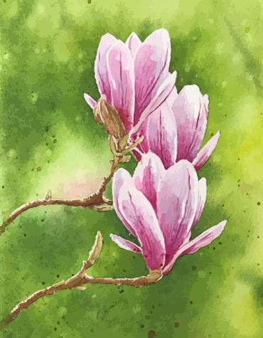 Pink Magnolia Blooms Paint By Numbers