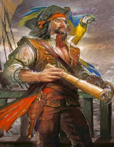 Macaw Pirate Scene Paint By Numbers