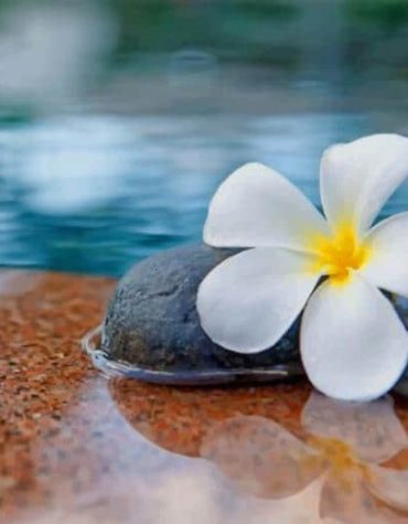 Plumeria Flowers and Rocks Paint By Numbers