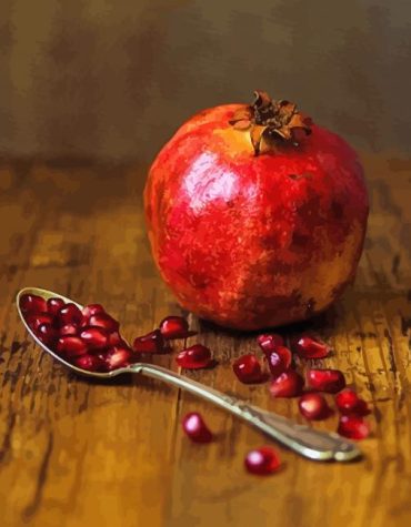 Pomegranate Photography Art Paint By Numbers