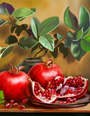Pomegranate Delight Paint By Numbers