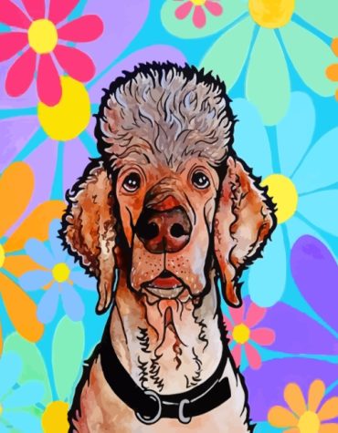 Poodle Dog Painting Paint By Numbers