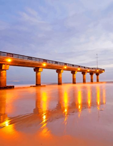 Port Elizabeth Suspension Bridge Paint By Numbers