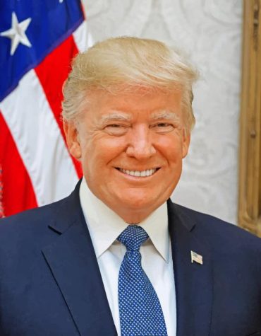 Donald Trump Presidency Paint By Numbers