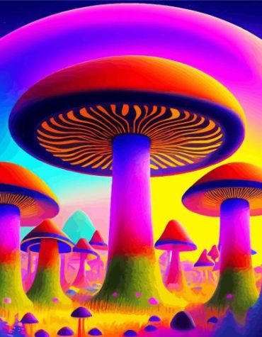 Colorful Psychedelic Mushrooms Paint By Numbers