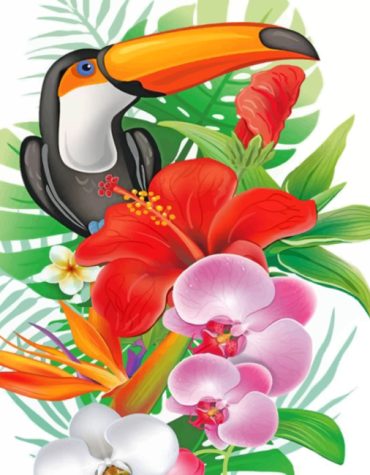 Charming Puffin Scene Paint By Numbers