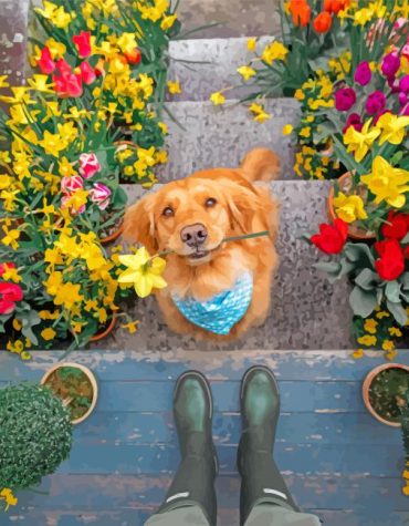 Puppy Labrador Plants Paint By Numbers