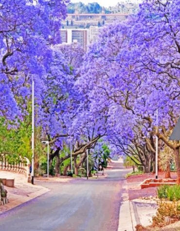 Purple Bloom Pretoria Art Paint By Numbers