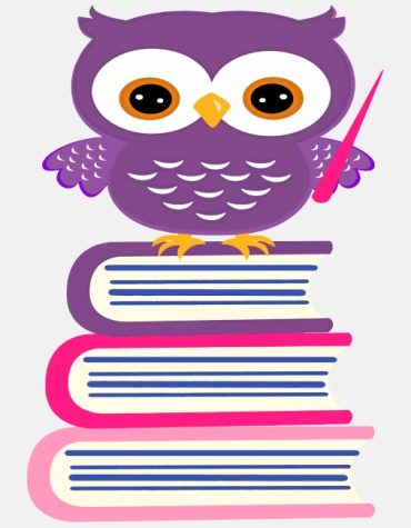 Colorful Owl Paint By Numbers