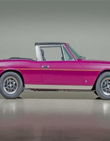 Purple Classic Triumph Stag Paint By Numbers