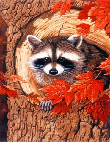 Raccoon in Autumn Leaves Paint By Numbers
