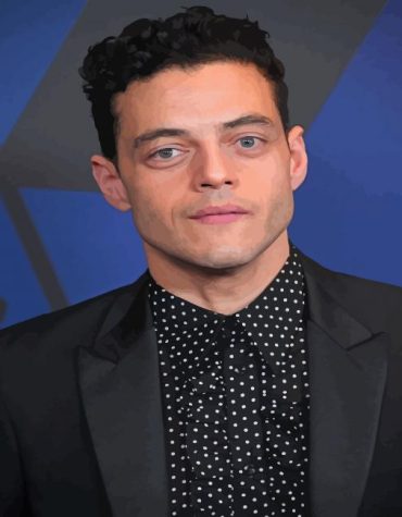 Rami Malek Famous Roles Paint By Numbers