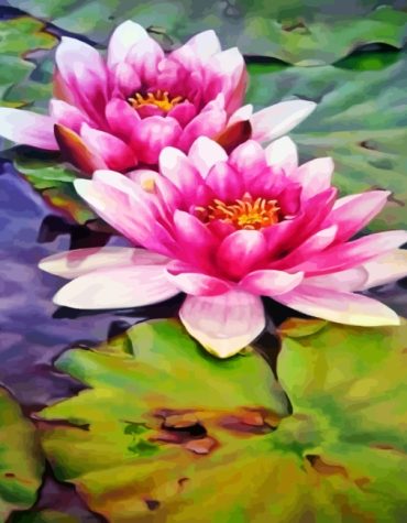 Pink Water Lilies Paint By Numbers