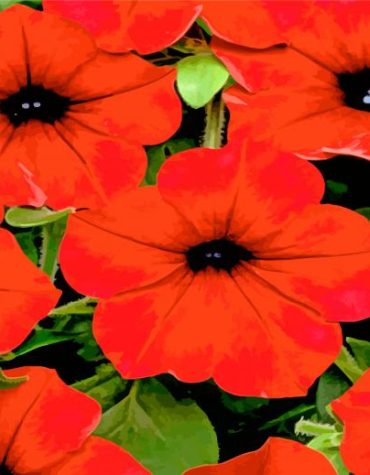 Red Petunia Flowers Paint By Numbers
