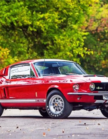 Red Ford GT 500 Muscle Car Paint By Numbers