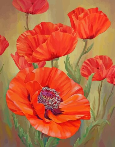 Red Poppy Floral Paint By Numbers
