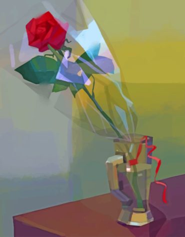 Red Roses Paint By Numbers