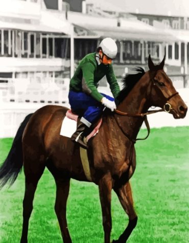 Red Rum Horse Paint By Numbers