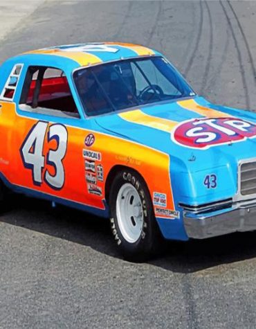Richard Petty Racing Cars Paint By Numbers