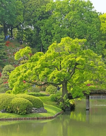 Rikugien Garden Tokyo Green Escape Paint By Numbers