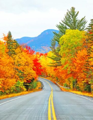 Autumn Trees Long Road Paint By Numbers