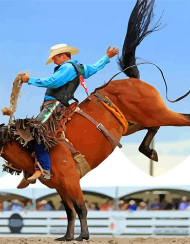Rodeo Cowboy Paint By Numbers