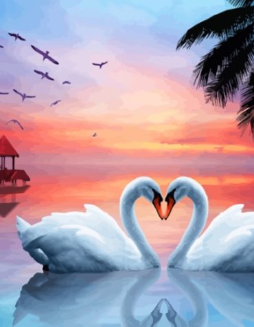 Graceful White Swans Paint By Numbers