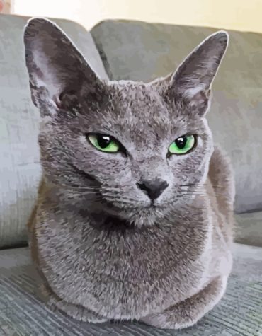 Mystical Russian Blue Cat Paint By Numbers
