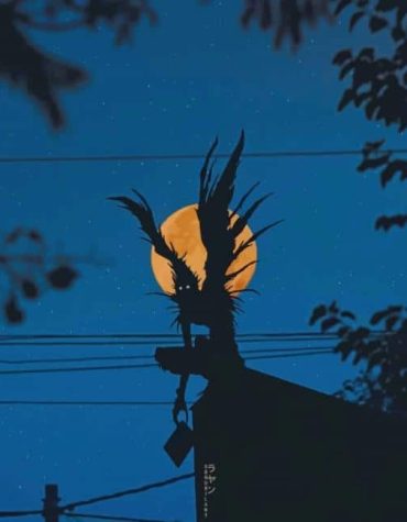 Death Note Ryuk Paint By Numbers