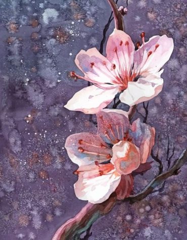 Cherry Blossoms in Bloom Paint By Numbers
