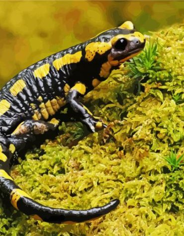 Colorful Salamander Paint By Numbers