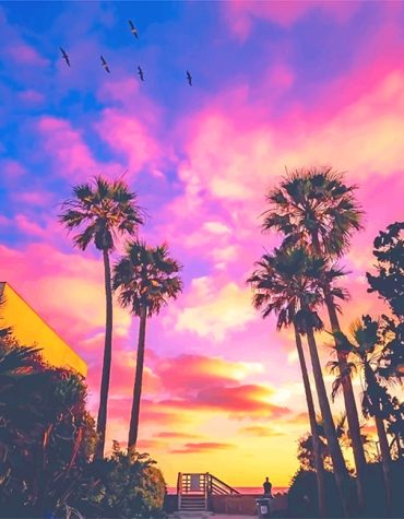 San Diego Purple Sky Paint By Numbers