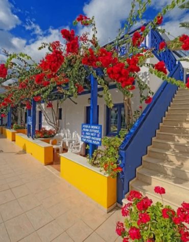Enchanting Santorini Flowers Paint By Numbers