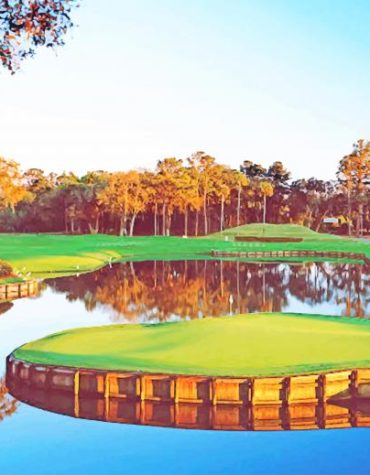 Sawgrass Golf Landscape Paint By Numbers