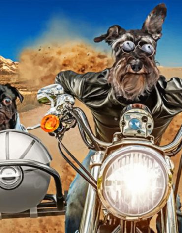 Schnauzer and Bulldog Companions Paint By Numbers