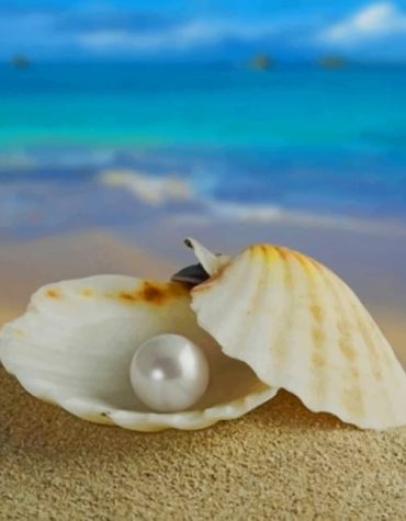 Sea Pearl Seascape Paint By Numbers