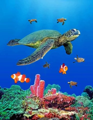 Colorful Sea Turtle Paint By Numbers