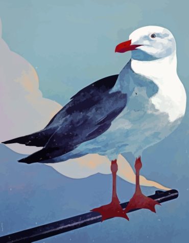 Seagull Beauty Paint By Numbers