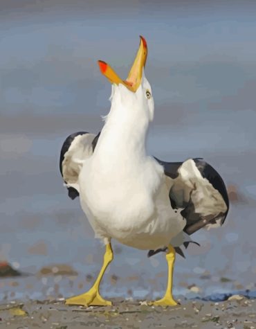 Seagull Birds Paint By Numbers