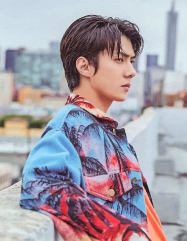 Oh Sehun EXO Kpop Paint By Numbers